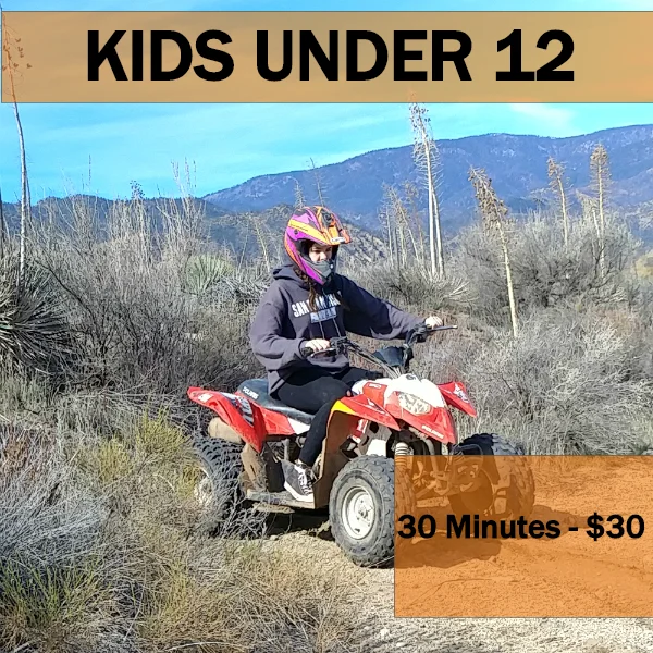 ATVs — ATV Tours Rentals CA & TX Los Angeles San Francisco ...