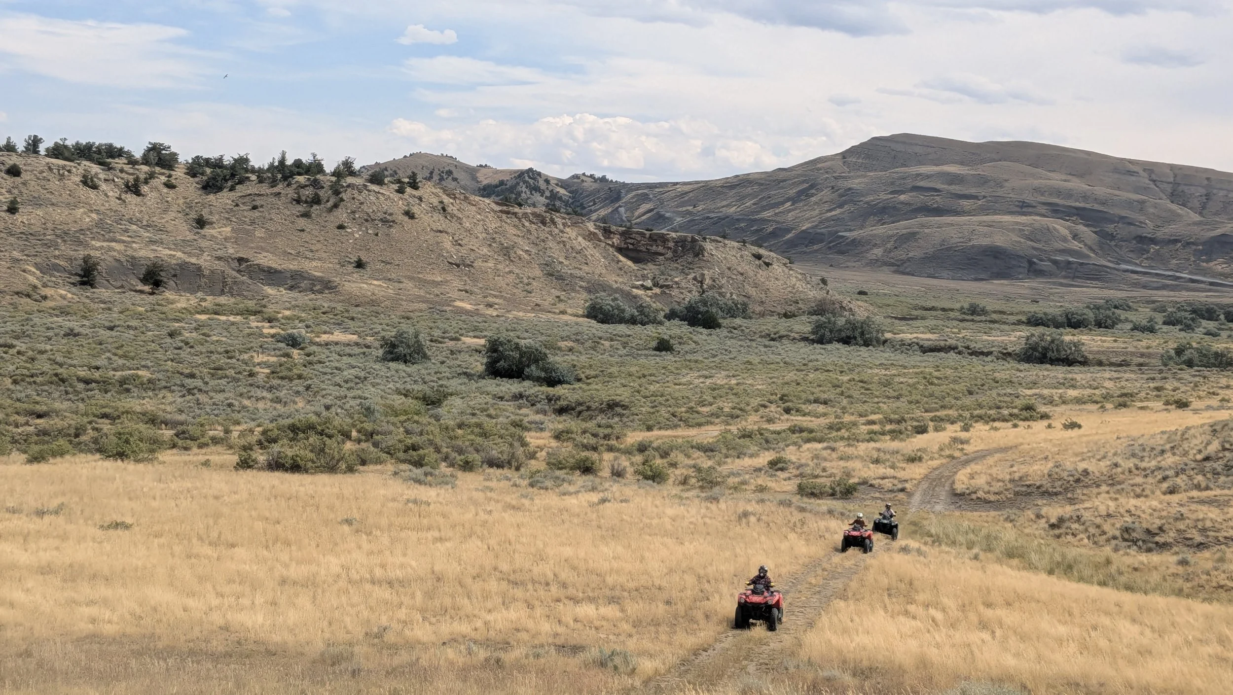 wy adventours background.jpg