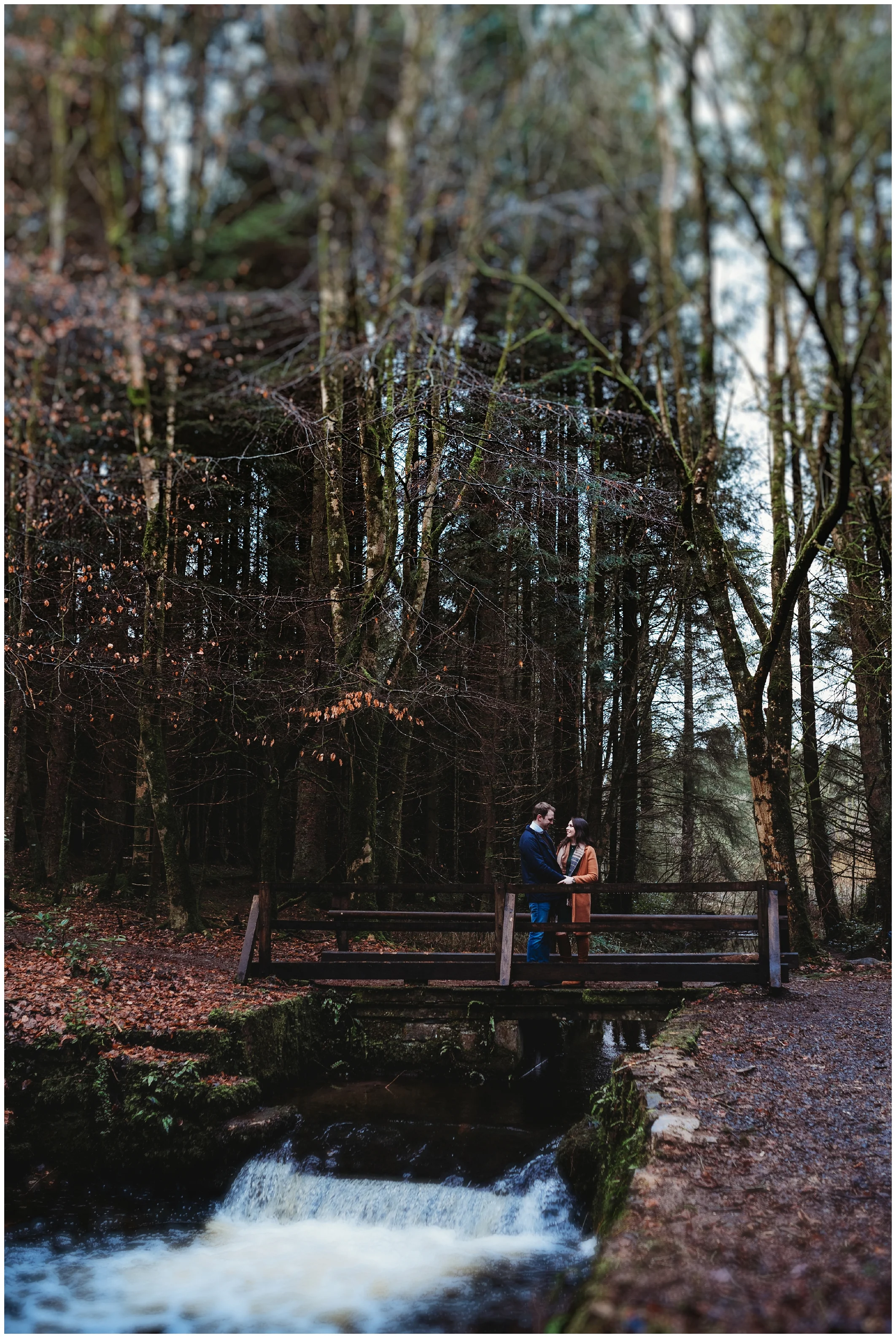 rossmore_park_monaghan_pre_wedding_jude_browne_photography_0045.jpg