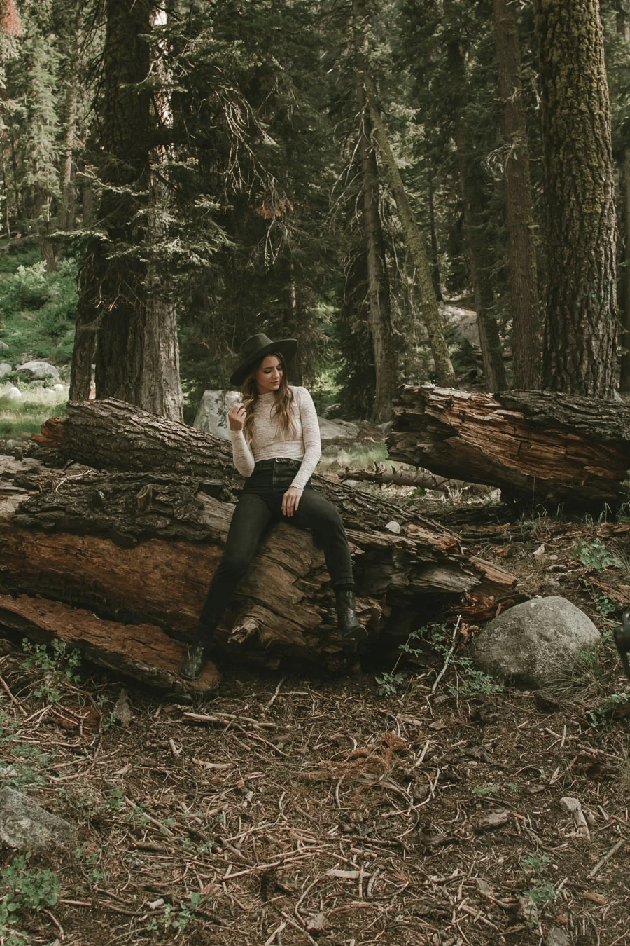 ACC-Sequoia-WebSize-1708012.jpg