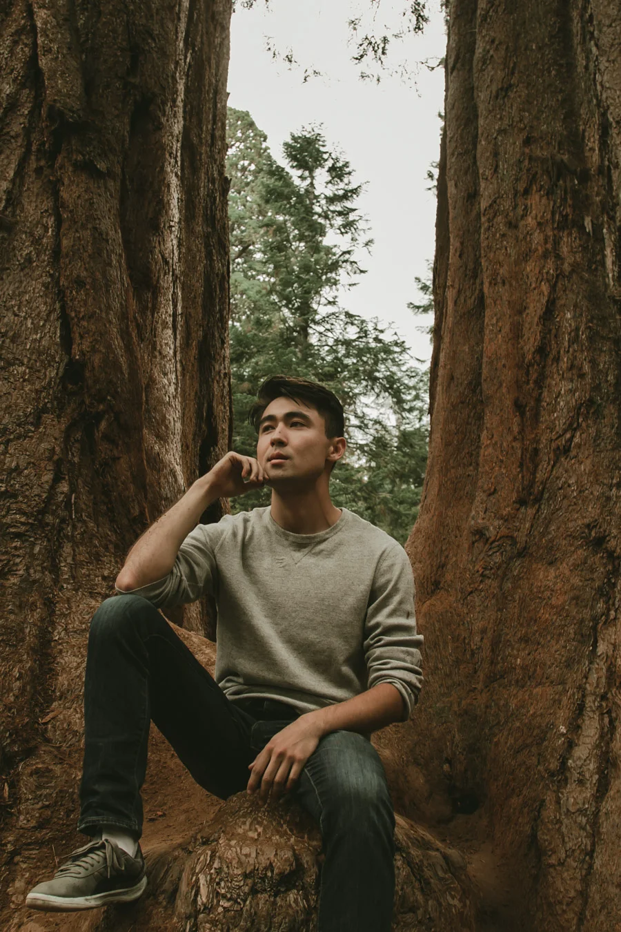 ACC-Sequoia-WebSize-1708046.jpg
