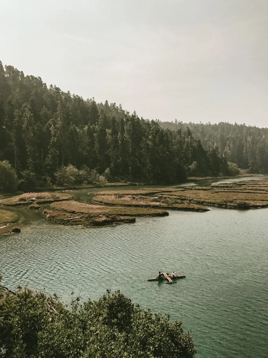 ACC-Mendocino-WebSize-1709091.jpg