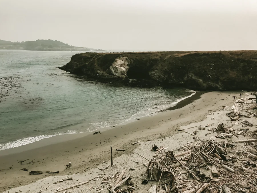 ACC-Mendocino-WebSize-1709101.jpg