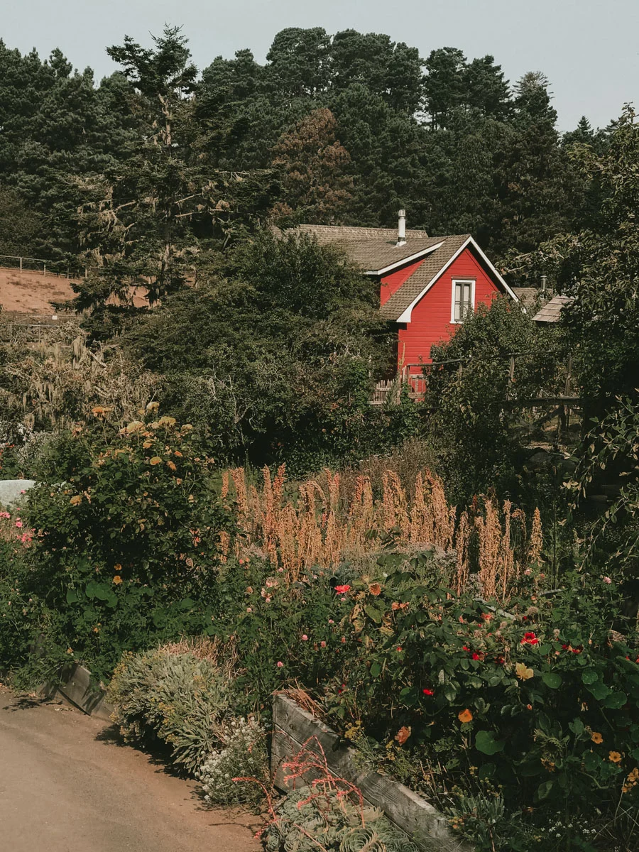 ACC-Mendocino-WebSize-1709129.jpg
