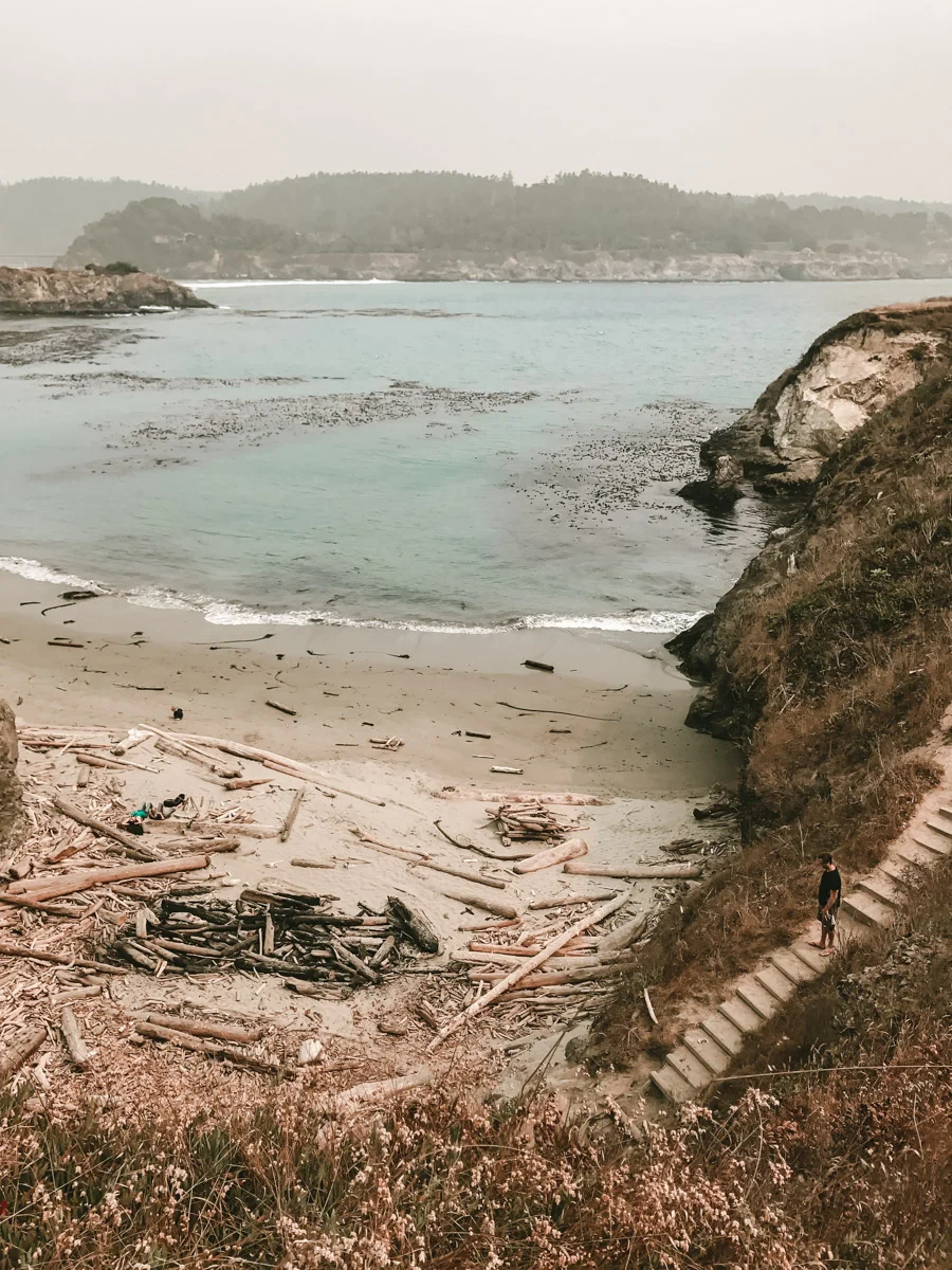 ACC-Mendocino-WebSize-1709104.jpg