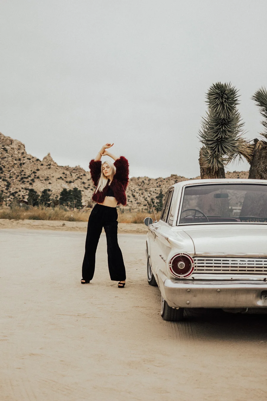 ACC-JoshuaTree-WebSize-1711052.jpg