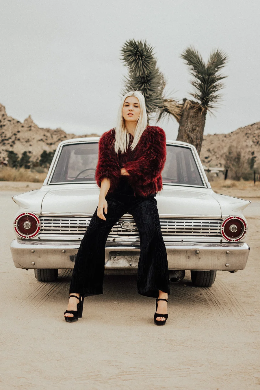 ACC-JoshuaTree-WebSize-1711054.jpg