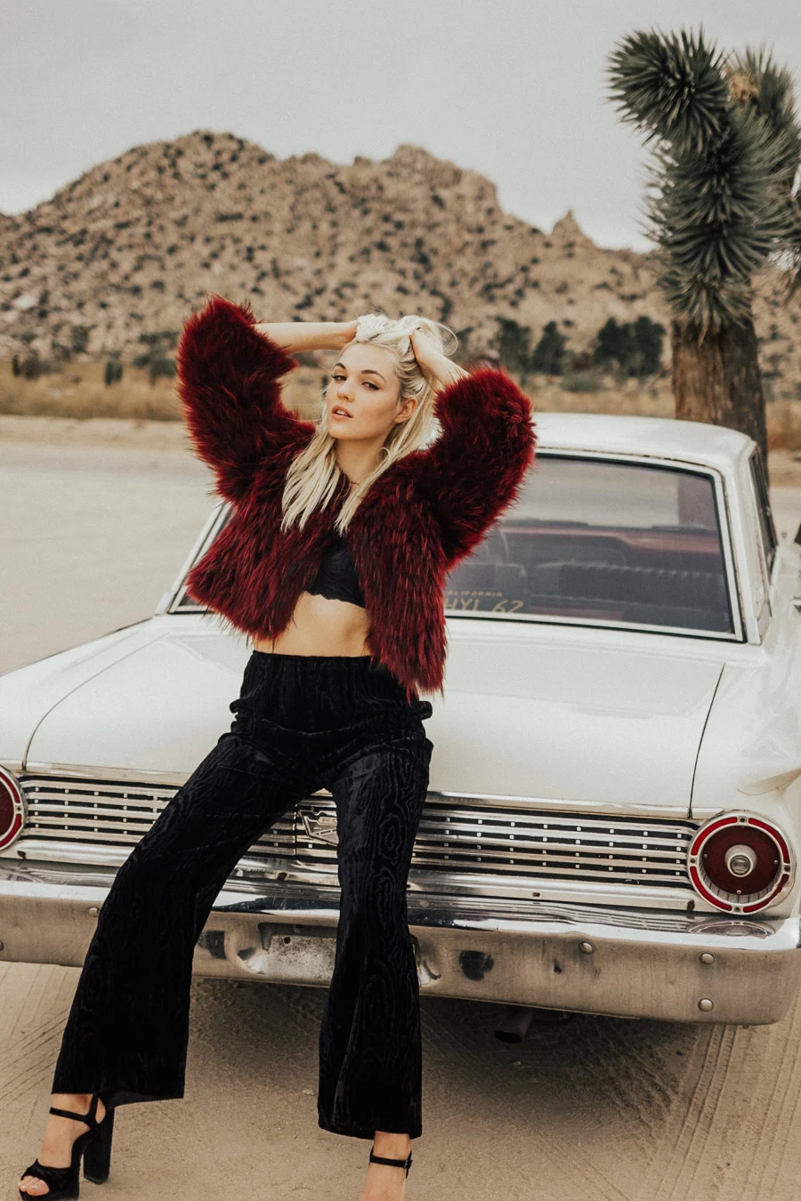 ACC-JoshuaTree-WebSize-1711057.jpg