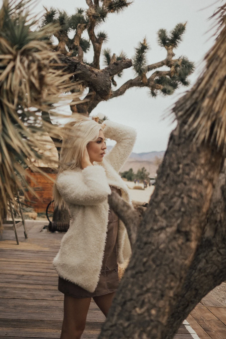 ACC-JoshuaTree-WebSize-1711079.jpg