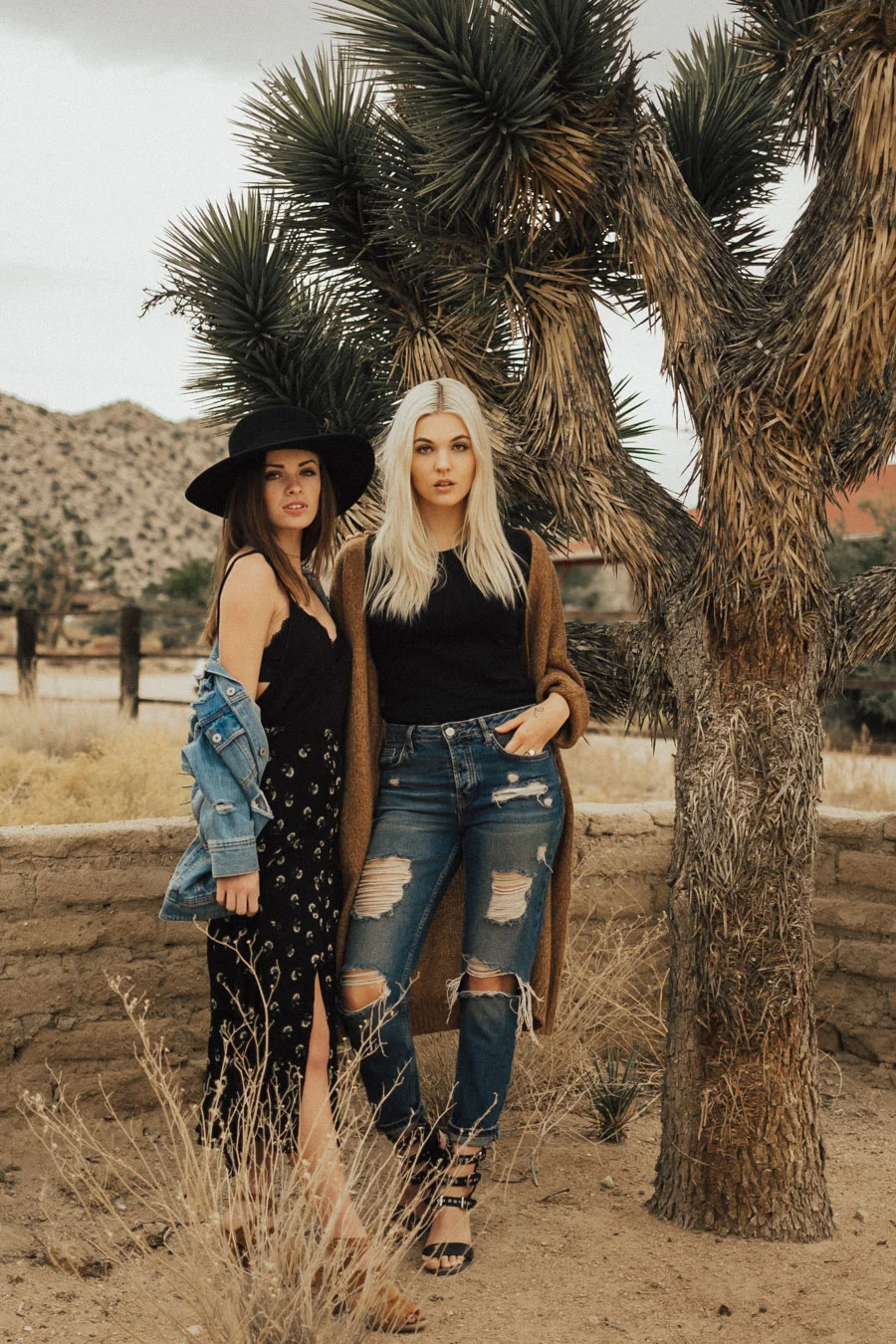 ACC-JoshuaTree-WebSize-1711109.jpg