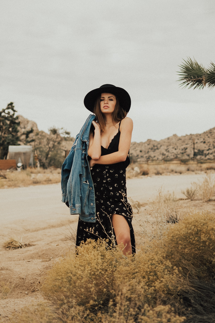 ACC-JoshuaTree-WebSize-1711116.jpg