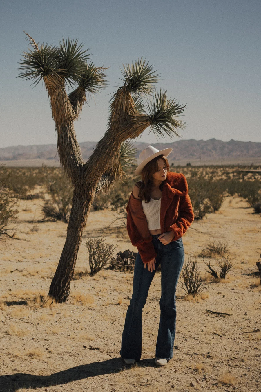ACC-JoshuaTree2-WebSize-1711085.jpg