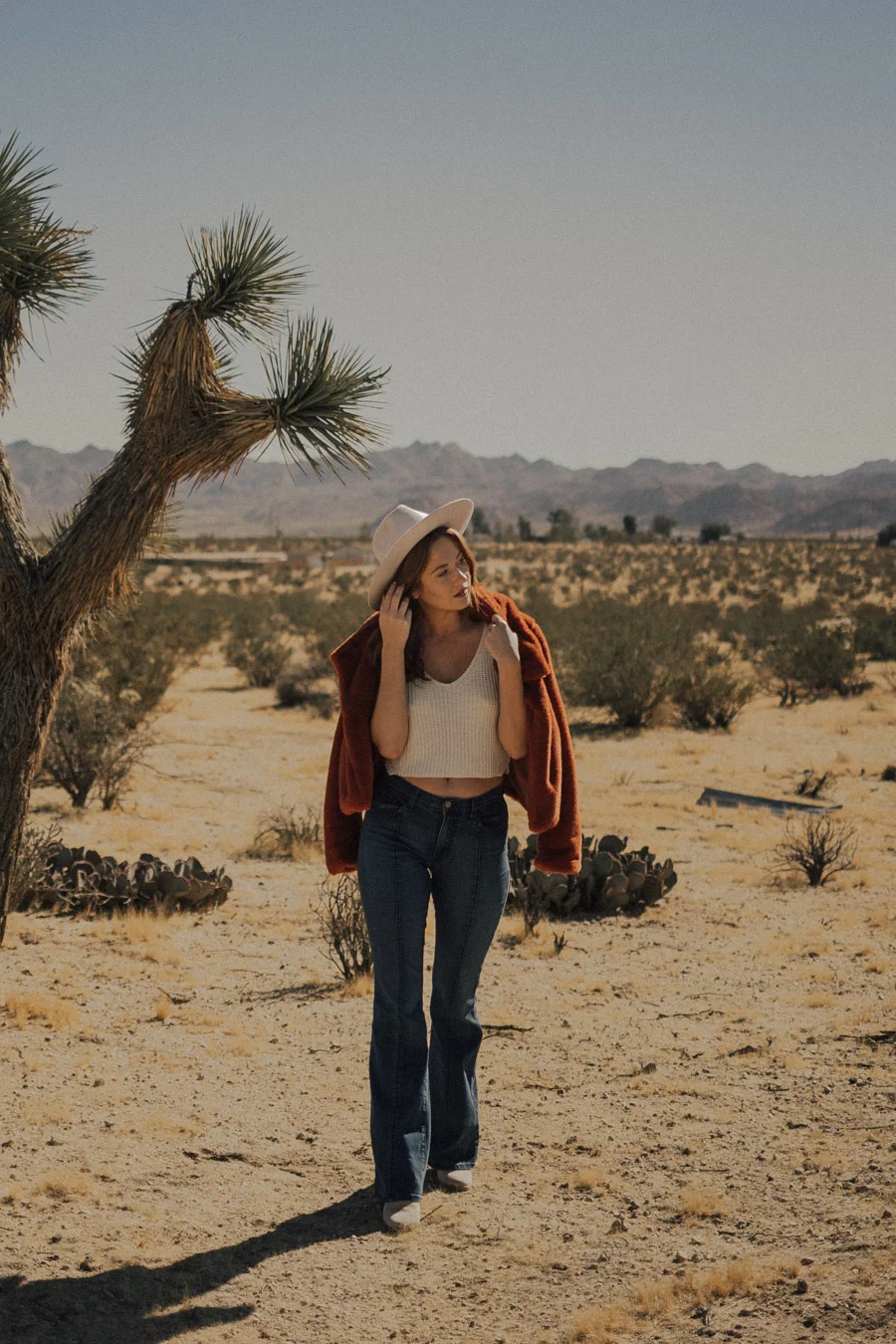 ACC-JoshuaTree2-WebSize-1711088.jpg