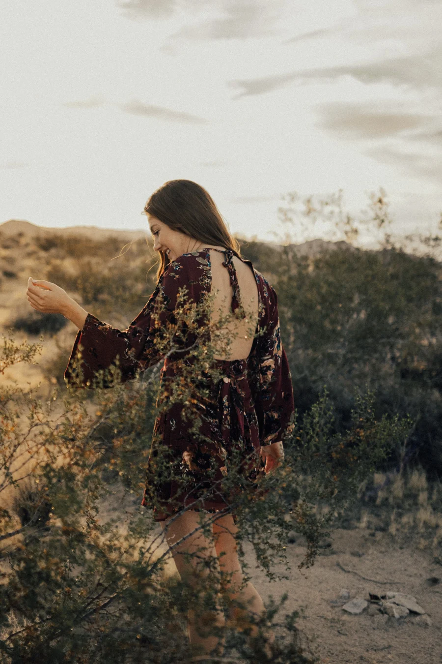 ACC-JoshuaTree2-WebSize-1711167.jpg