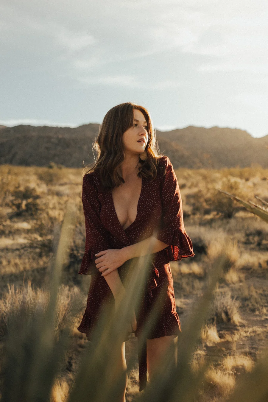 ACC-JoshuaTree2-WebSize-1711184.jpg