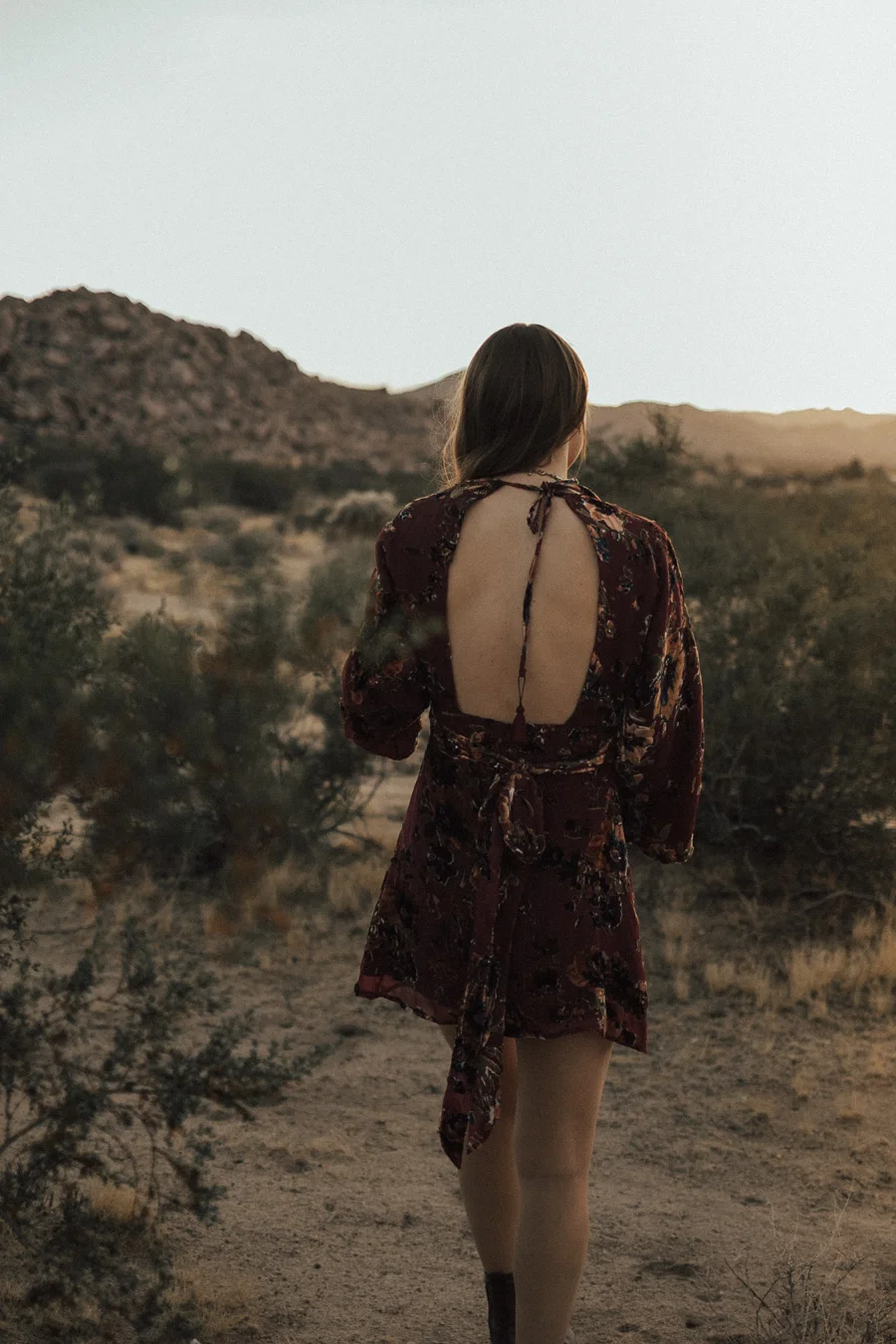 ACC-JoshuaTree2-WebSize-1711221.jpg