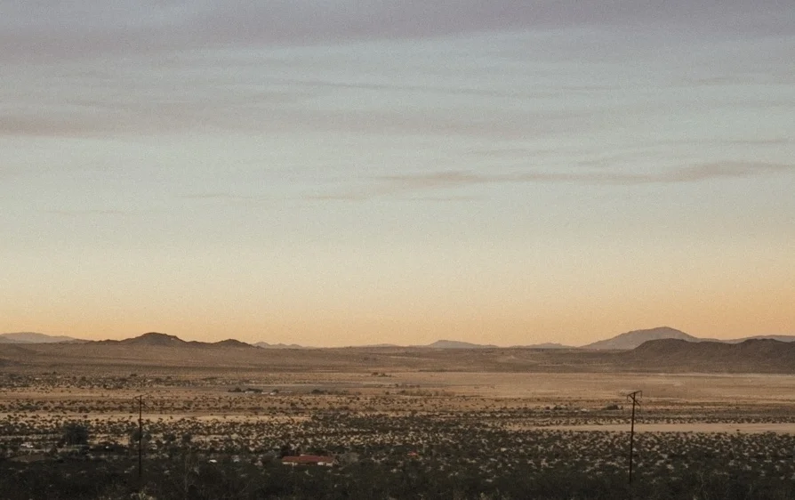 ACC-JoshuaTree2-WebSize-1711222.jpg