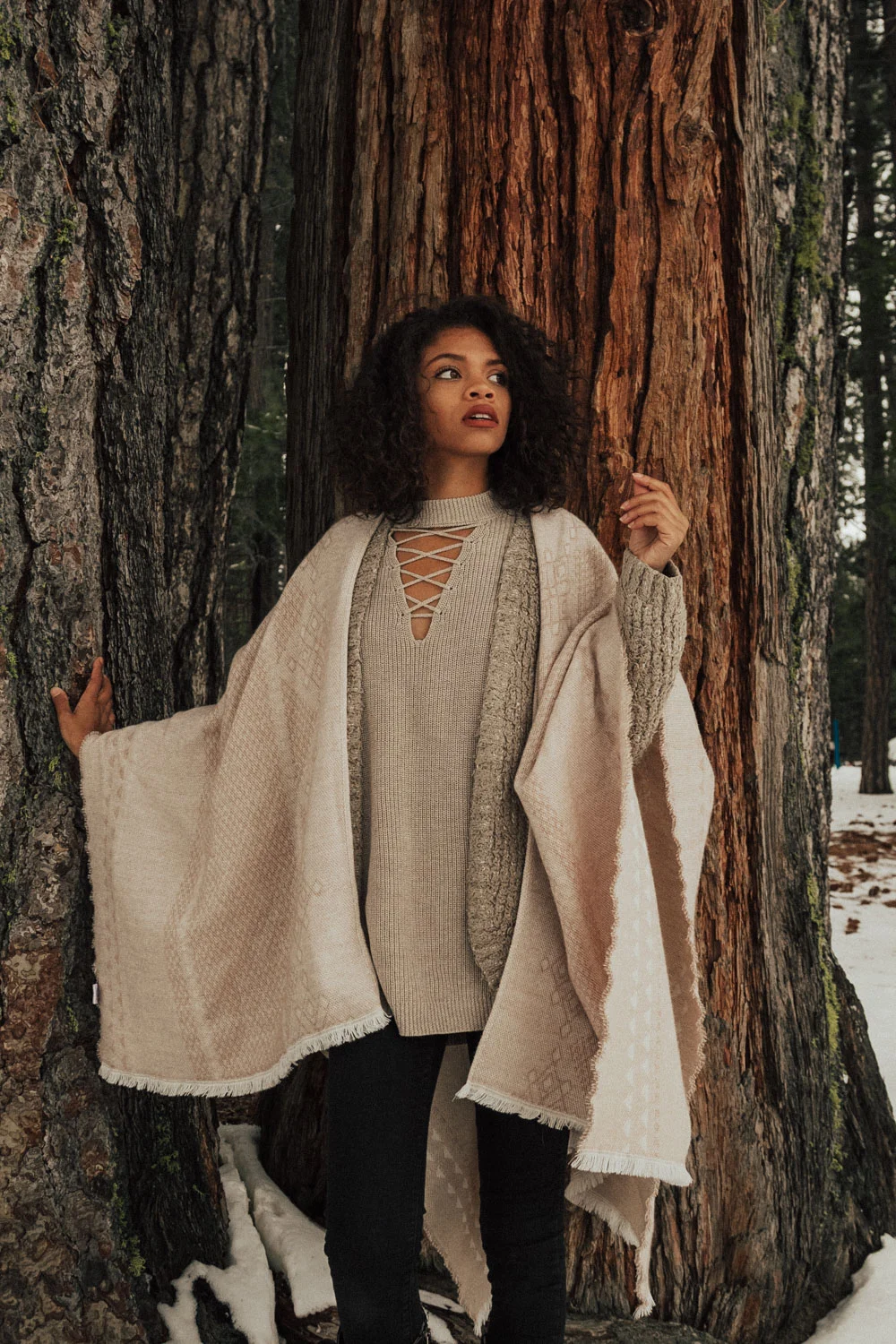 ACC-Pinecrest-WebSize-1802092.jpg