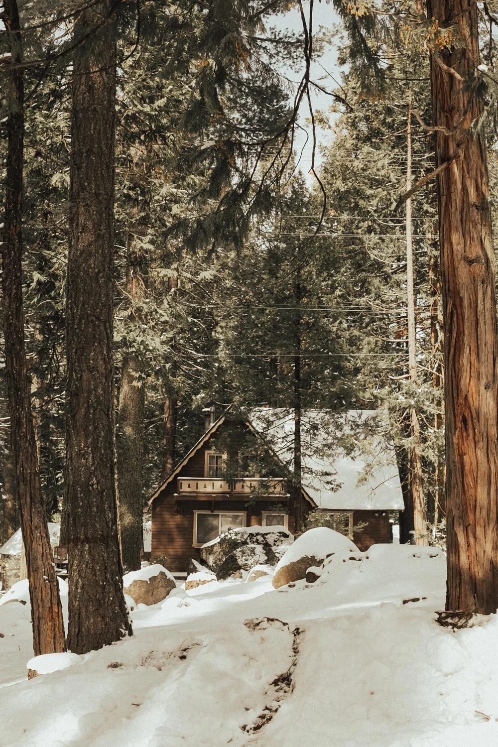 ACC-Pinecrest-WebSize-1802035.jpg