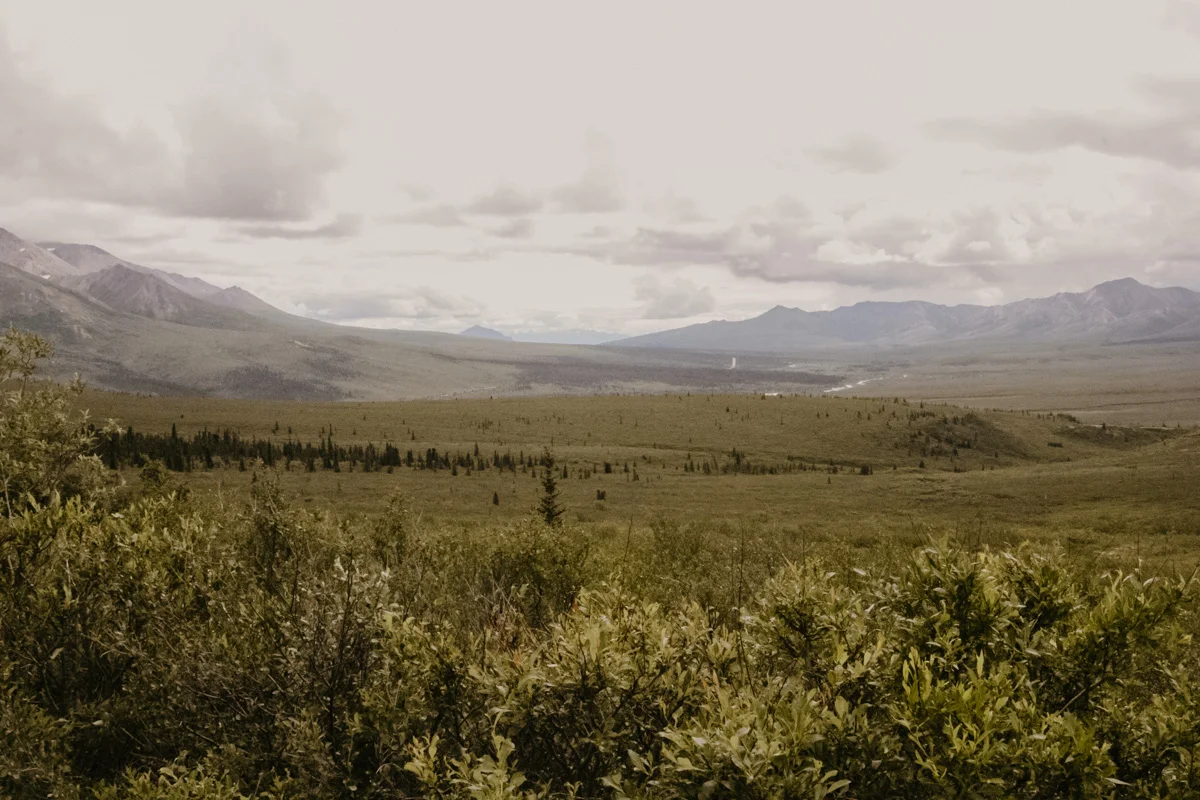 ACC-CanadaAlaskaSEA-WebSize-1807270.jpg
