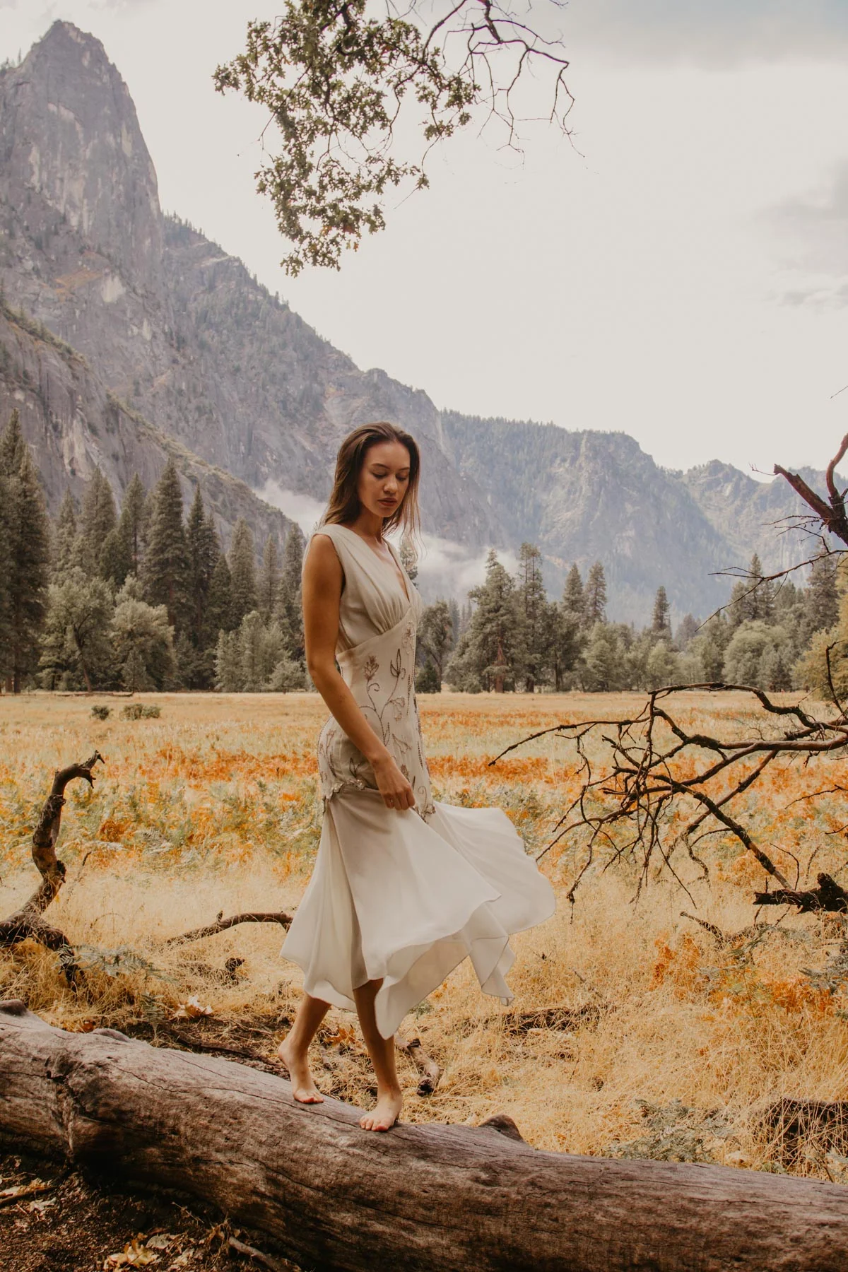 ACC-Yosemite-WebSize-1810073.jpg
