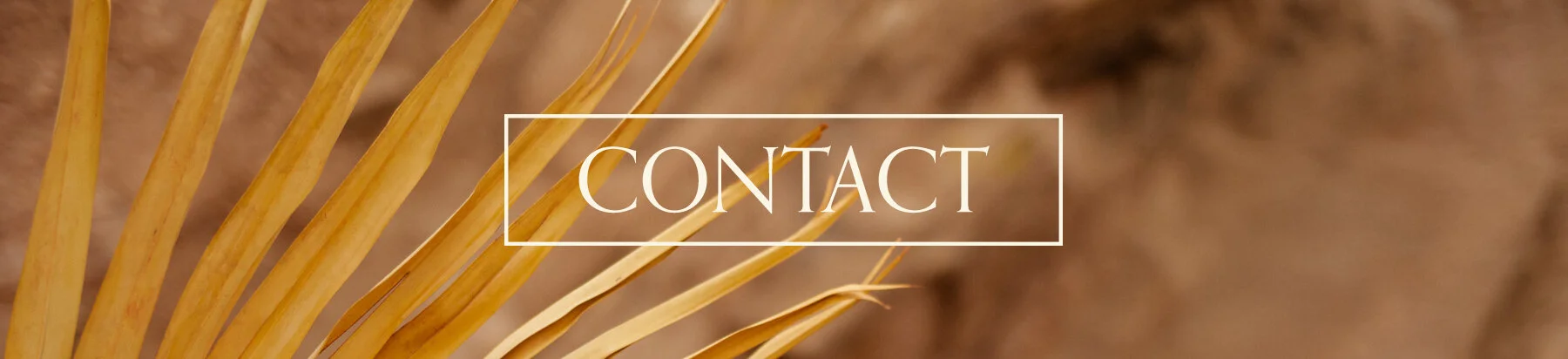 ACC-Blog-Contact.jpg