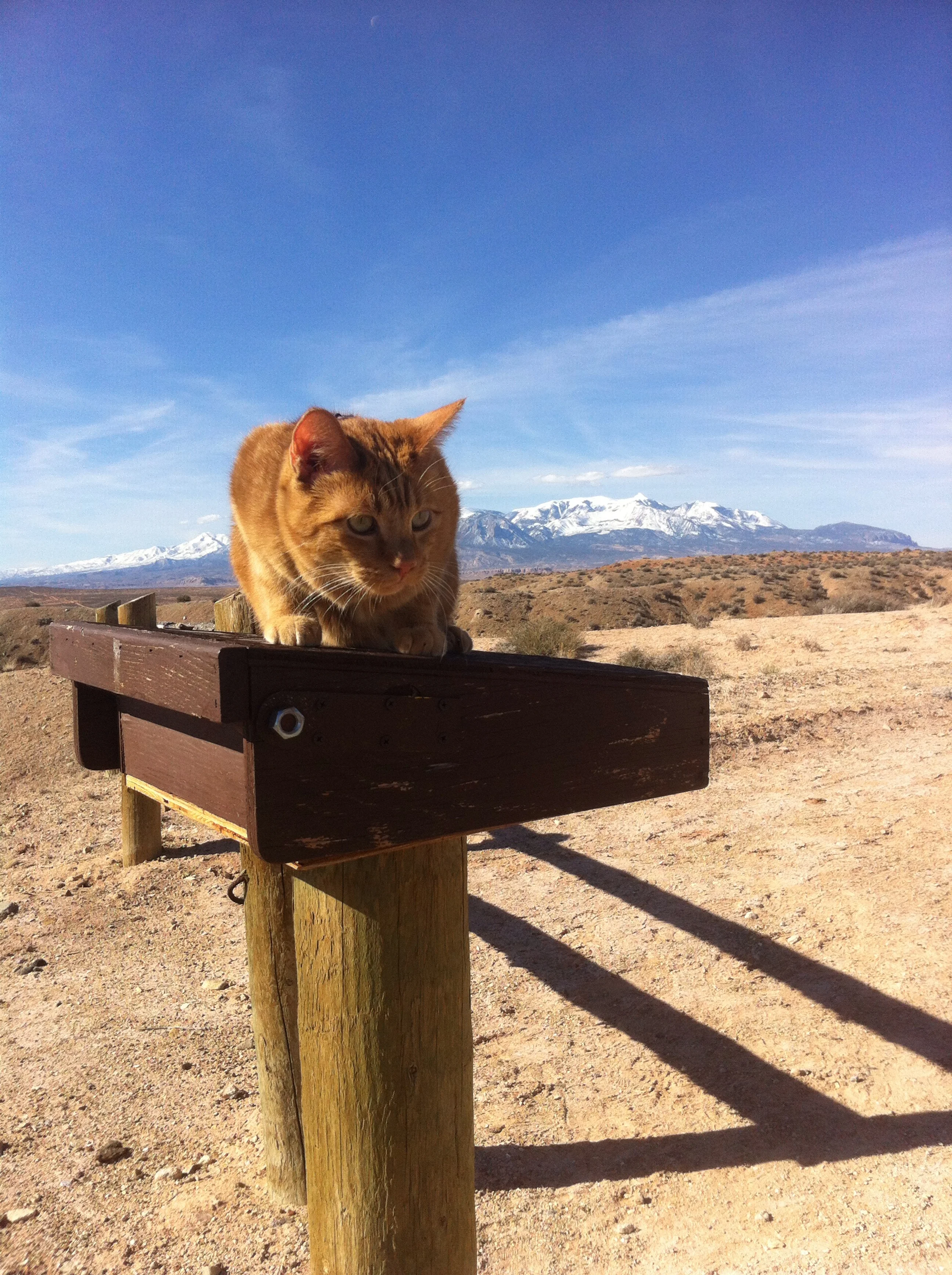 Kenneth at the trailhead to Angel Slot and Angel Cove.