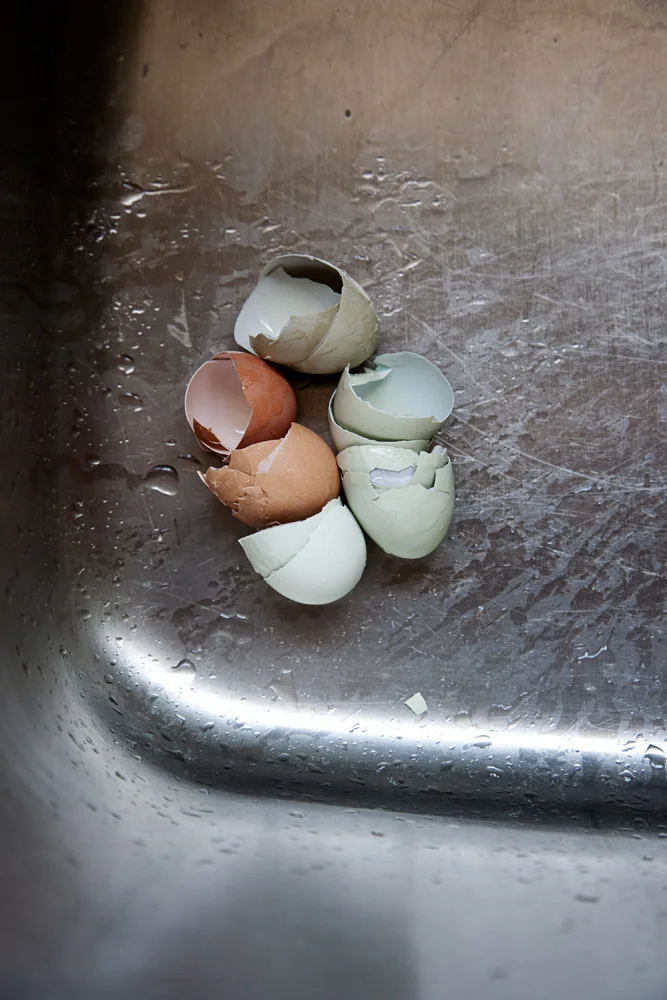 eggs_print.jpg