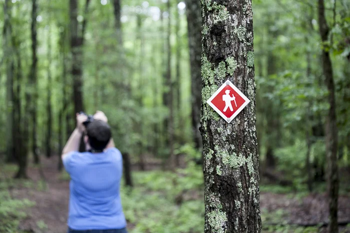 Birding, Falls Lake State Park, NC