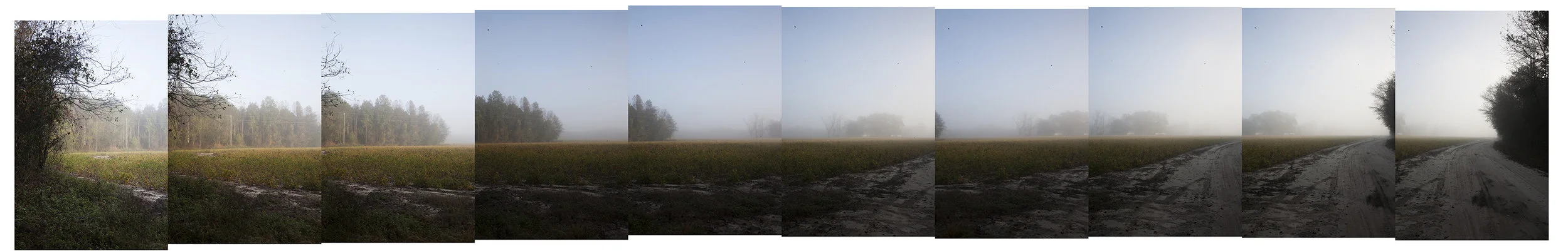 Pano Mist Mock up.jpg