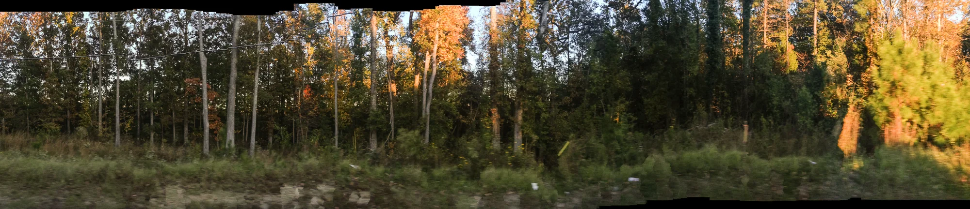 segibbons_20161107_2016-11-07 16.52.50.jpg