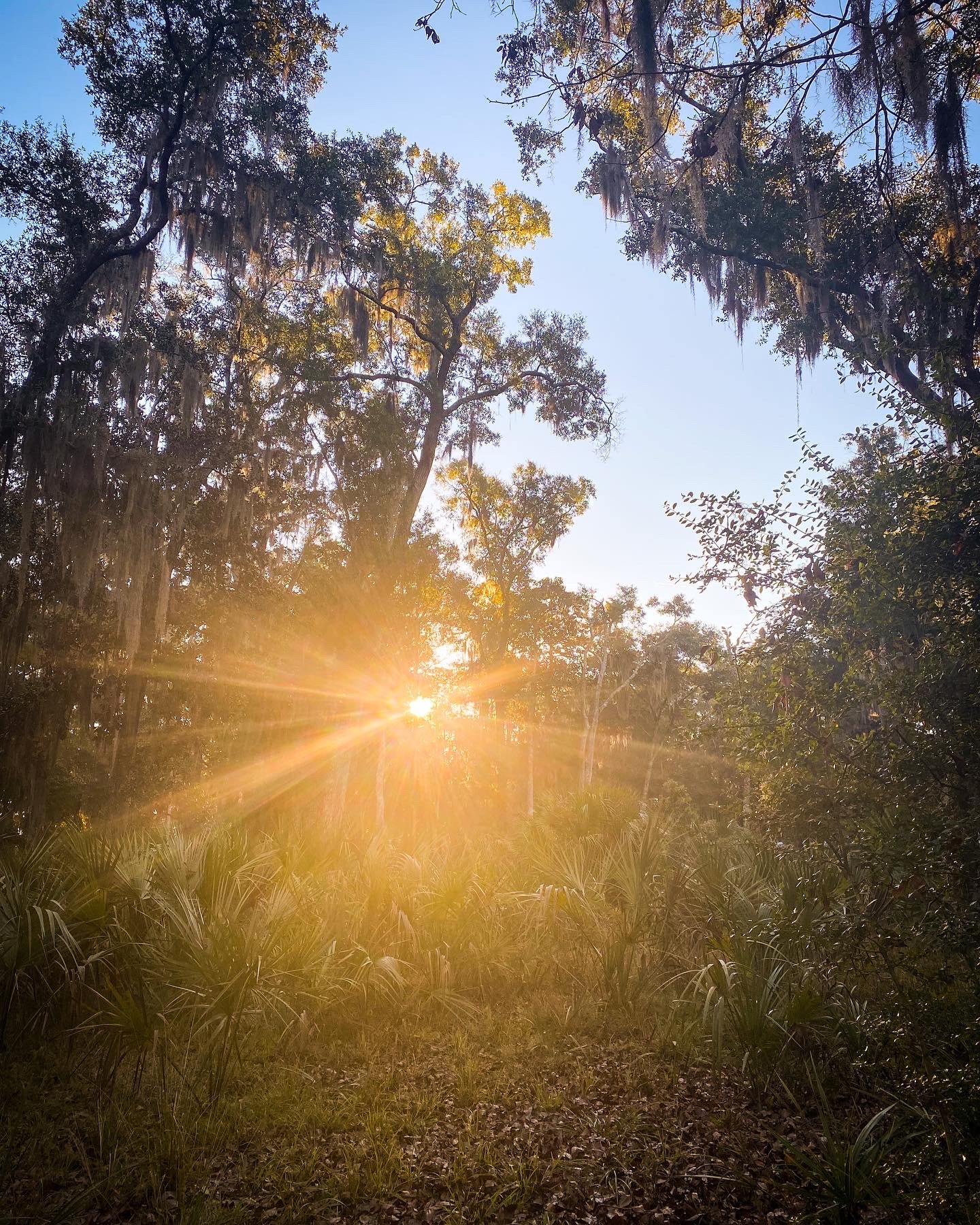 Sunrise - Ft. McAllister, GA