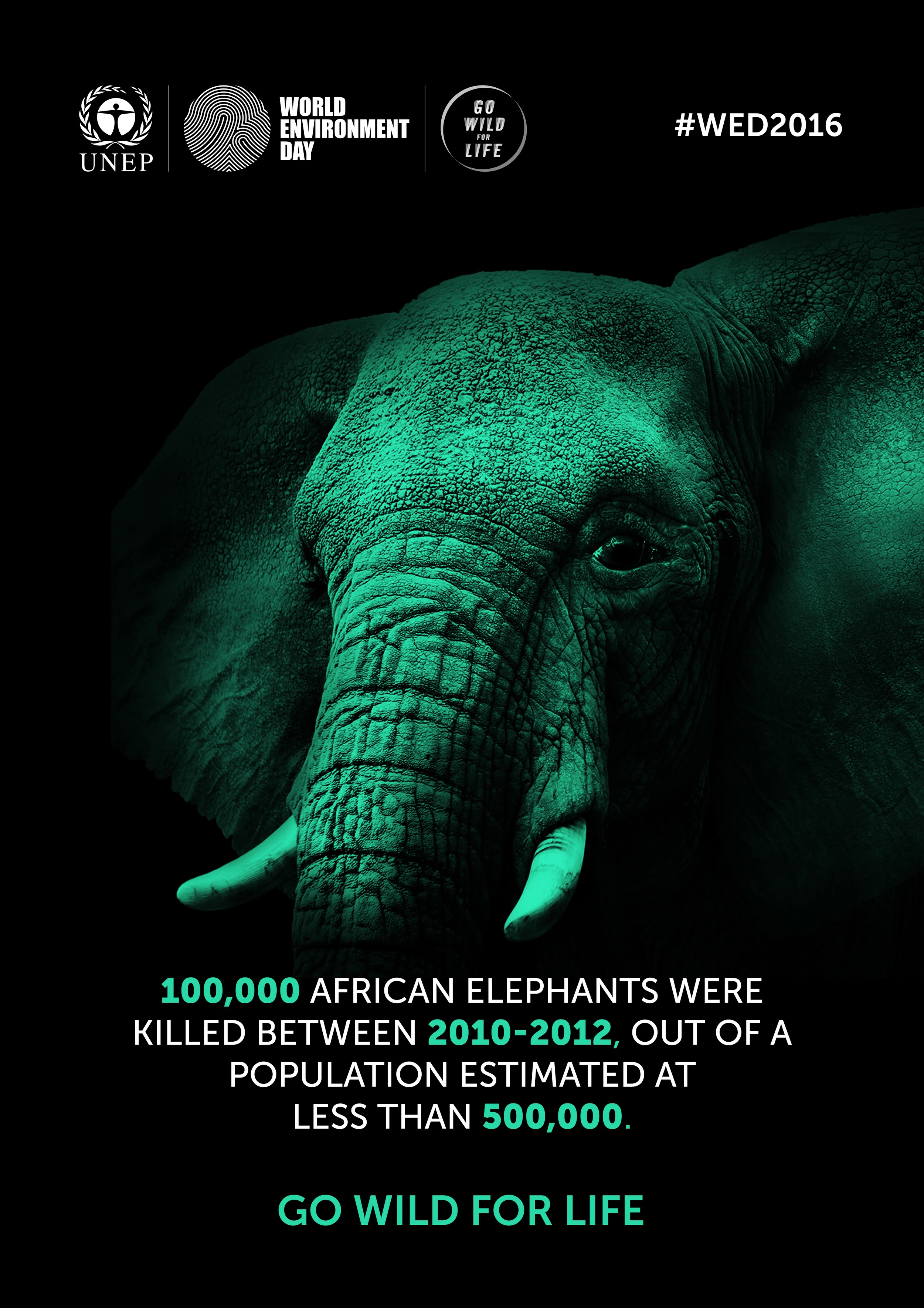 World Environment Day - Go Wild for Life!