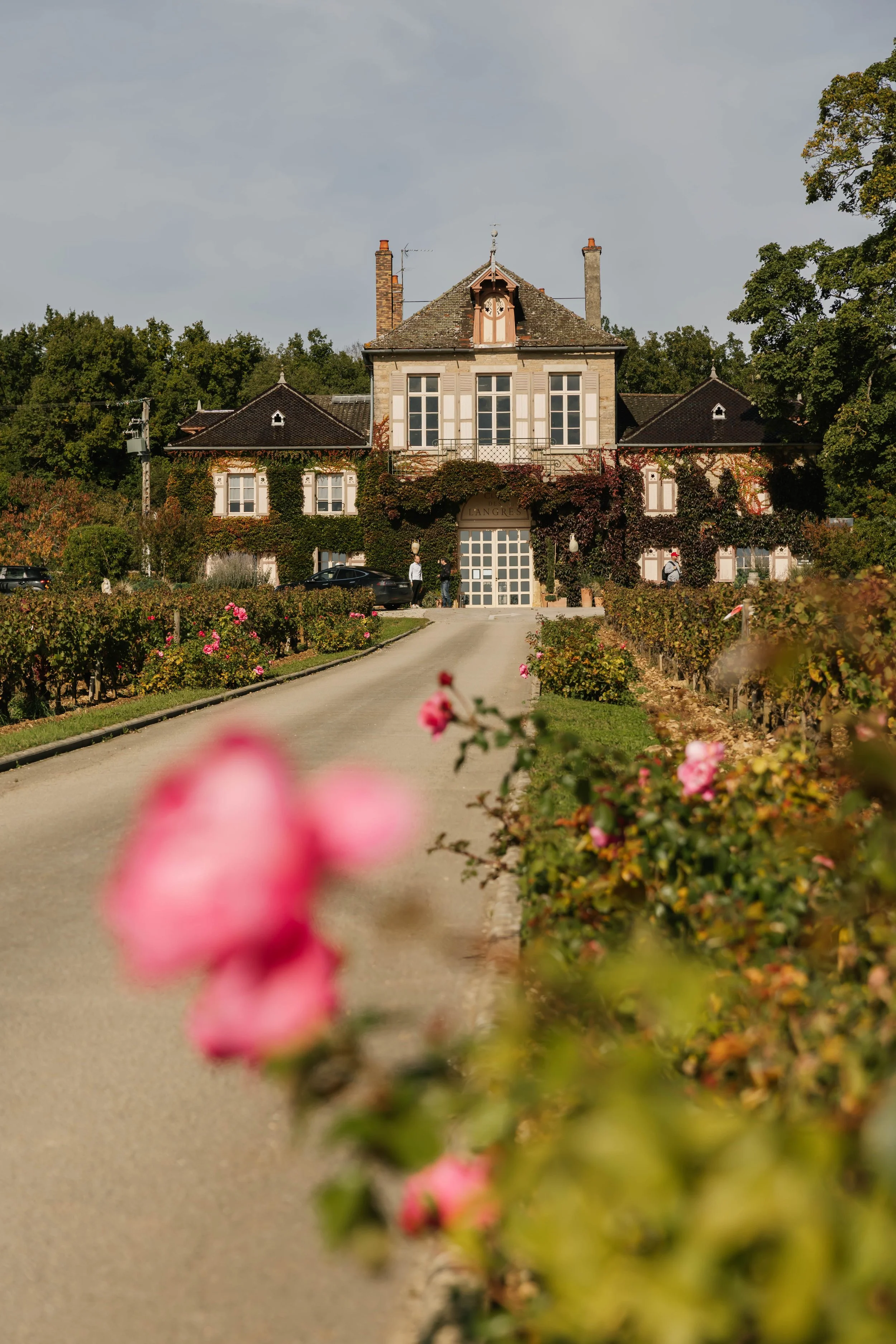 Amble_Burgundy-180.jpg