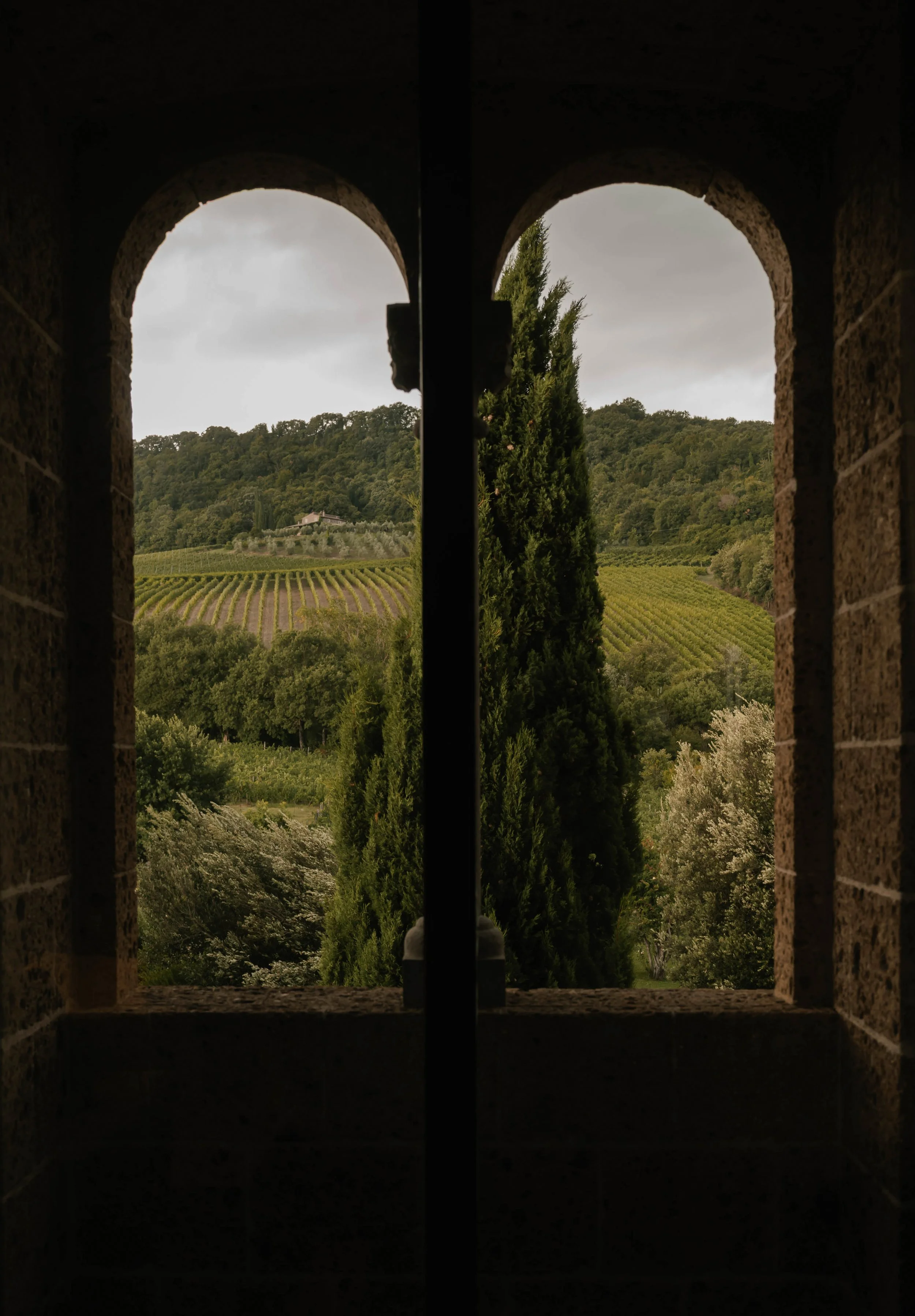 689A9092.jpg