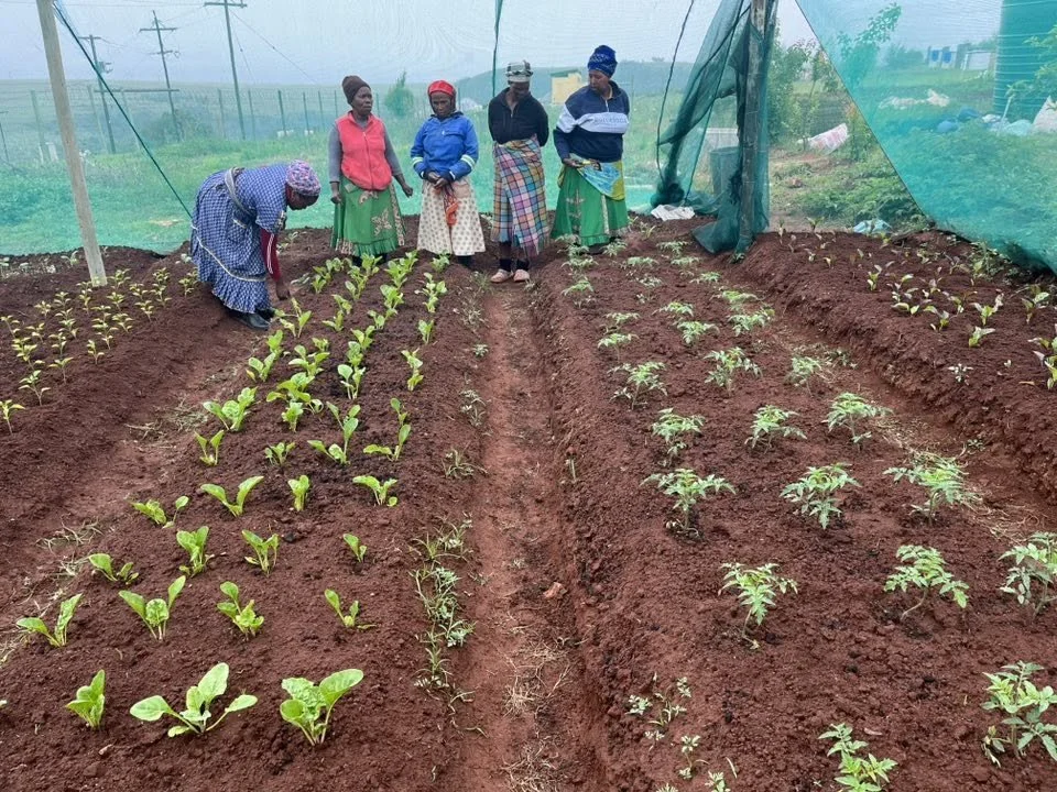 ASAP Village Garden.jpg