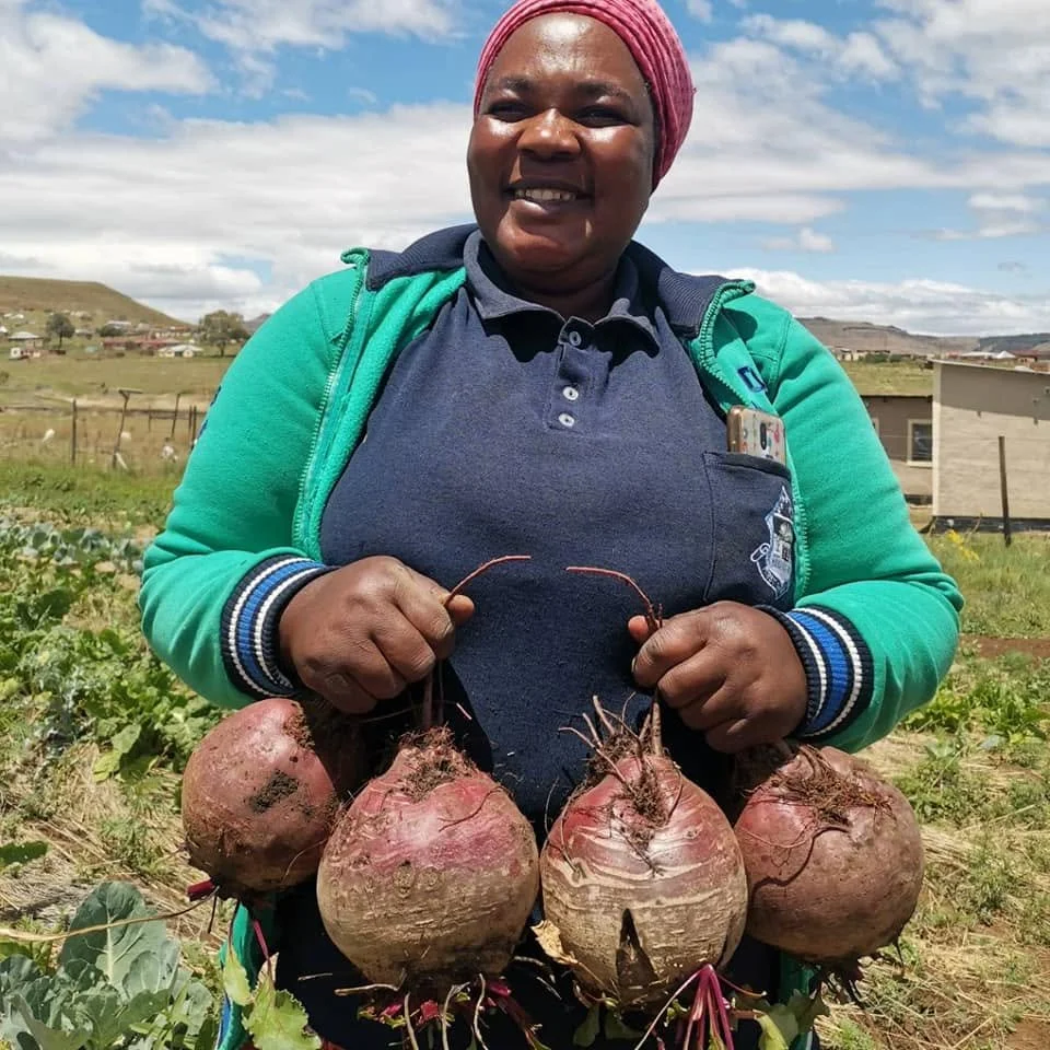 ASAP Beetroot Gardening.jpg