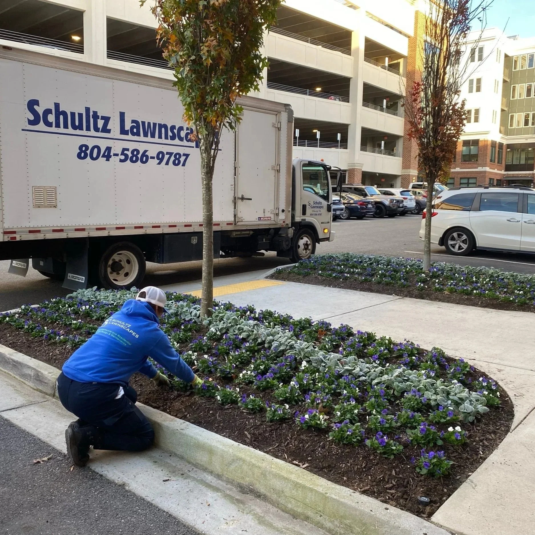 Commercial Page - Crew Member Planting Flowers at Westhampton.jpg