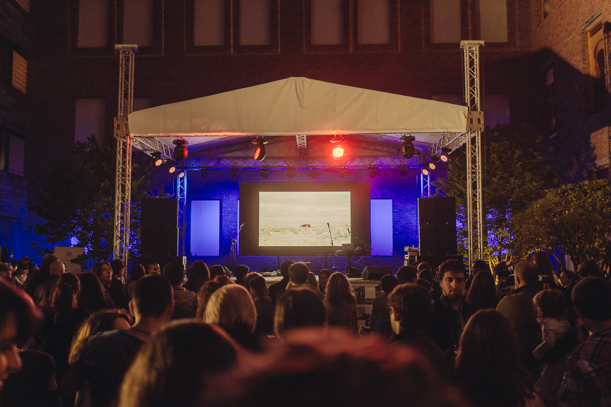 My project »The Buffalo that could not dream« is shown during the Award Ceremony in Tbilisi, Georgia.