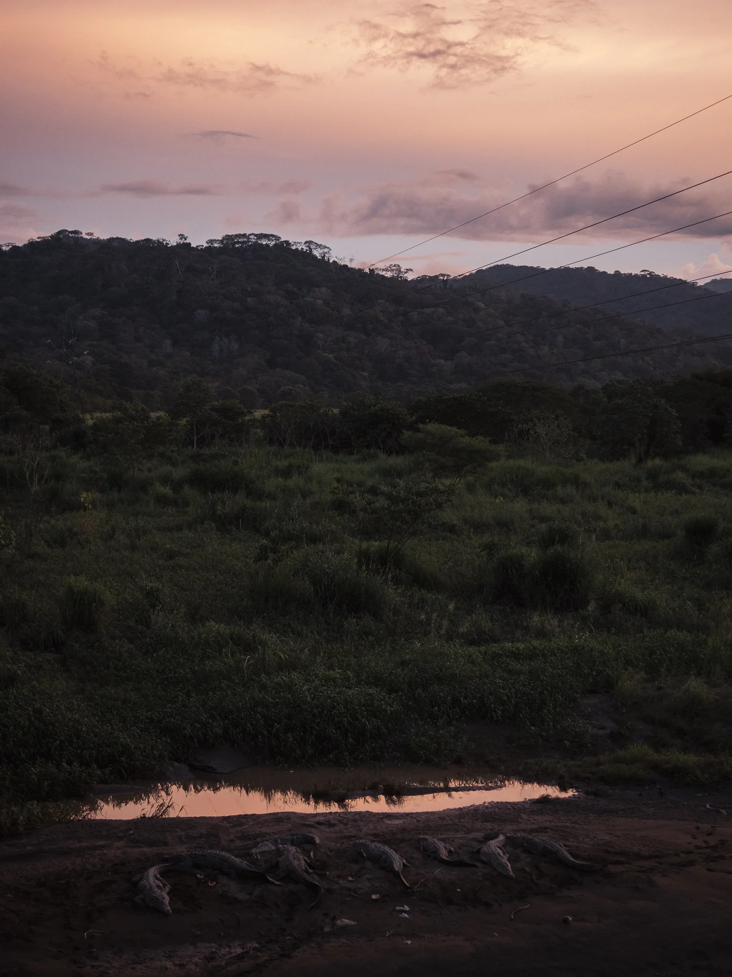 costa_rica_day_6_099.jpg