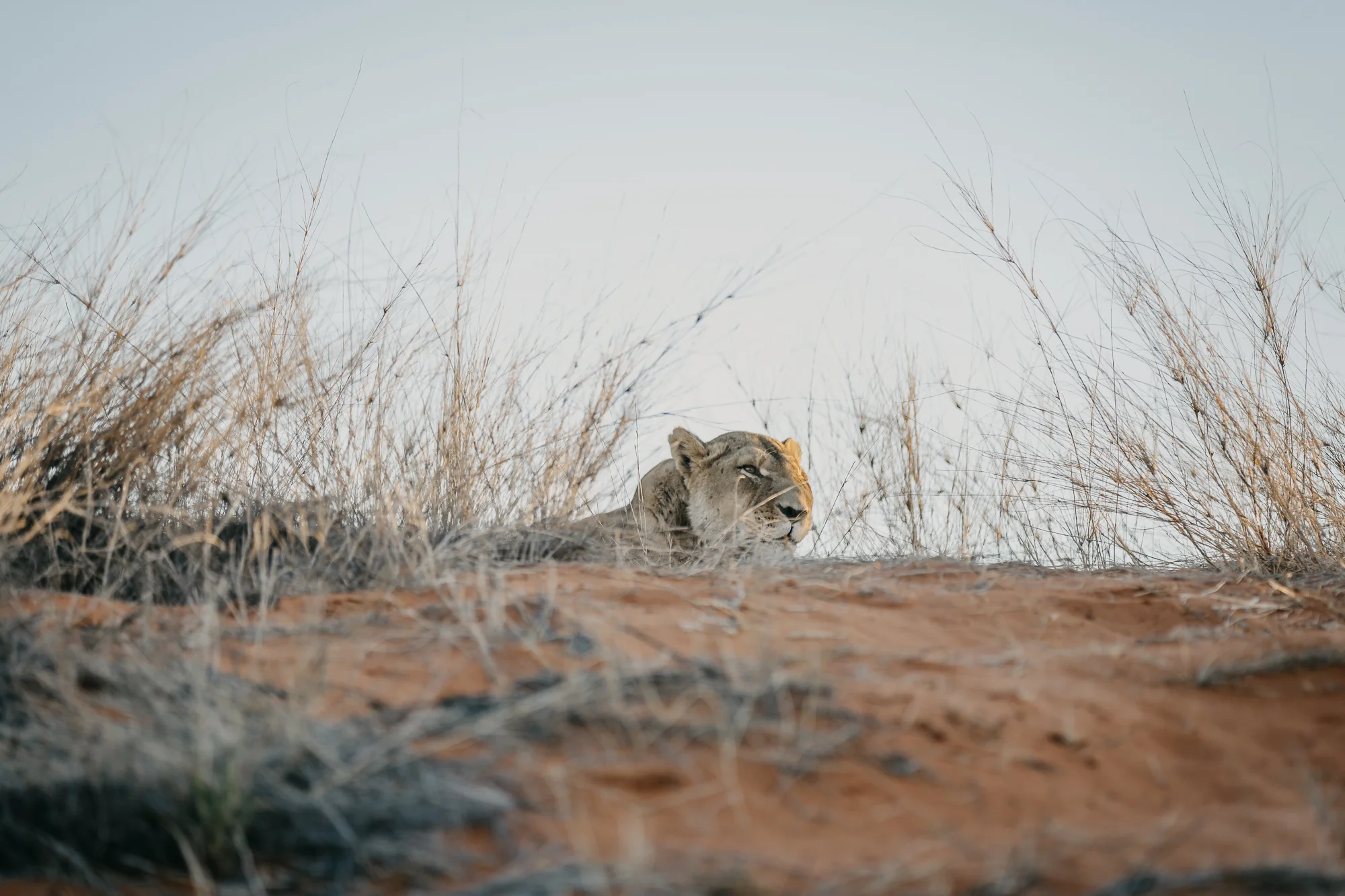 061518_Namibia_PIXd2camKayla_00671.jpg