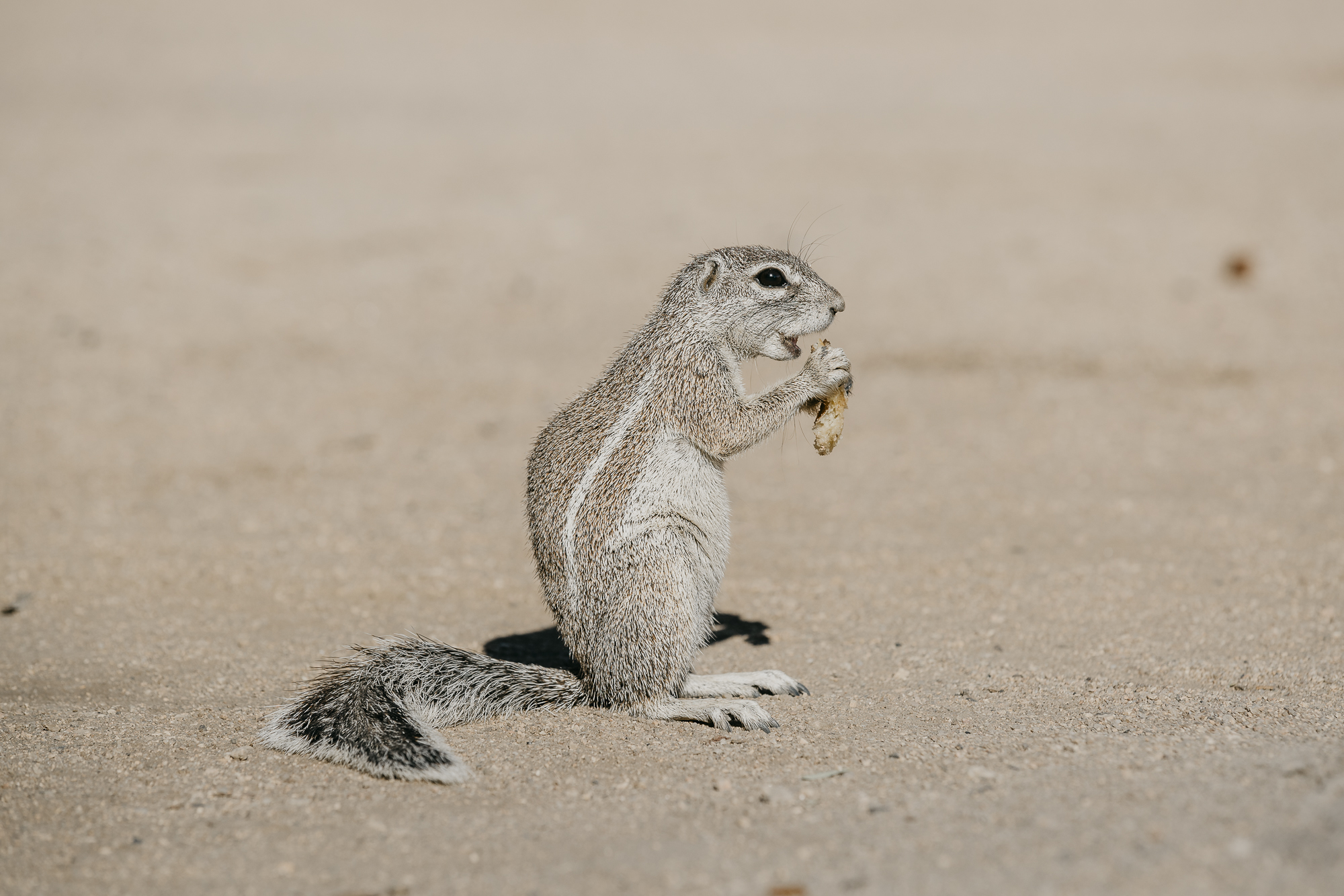 062018_NAMIBIA-pDay7_camF_0225.jpg