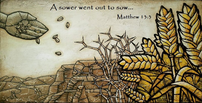 Sunday Service of Worship, July 12th, the Fifteenth Sunday in Ordinary Time...