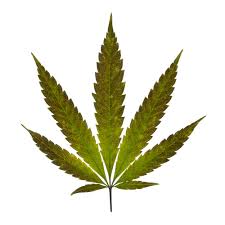 weed.jpeg