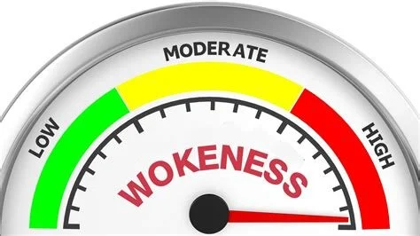 Wokeness And Its Excesses