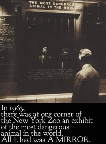 Disentangling Ourselves From The Horrors Of The Modern Food System