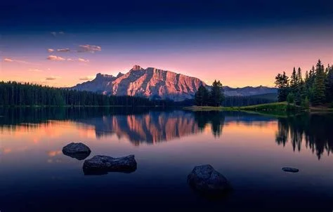Embrace Entropy &amp; Savor Serenity