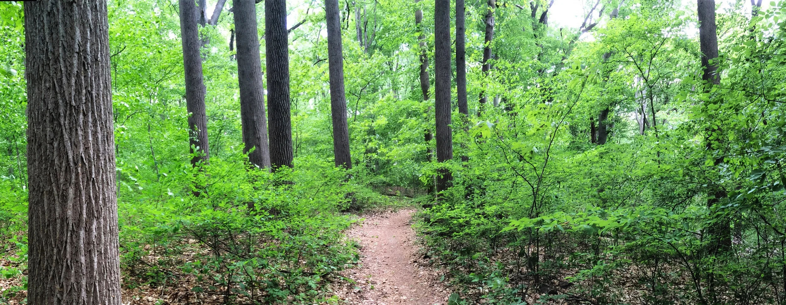  Hike the trails of the beautiful Brandywine Creek State Park, just steps from your front door. 