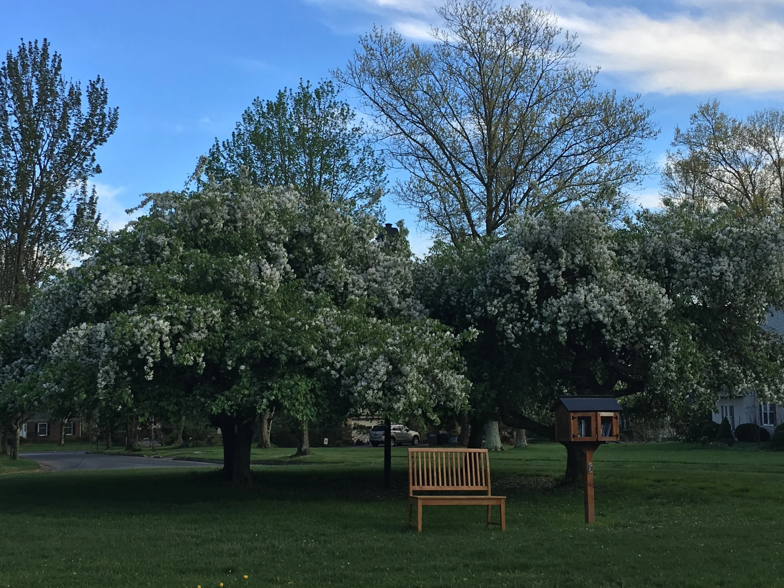  Enjoy books from our Free Little Library 