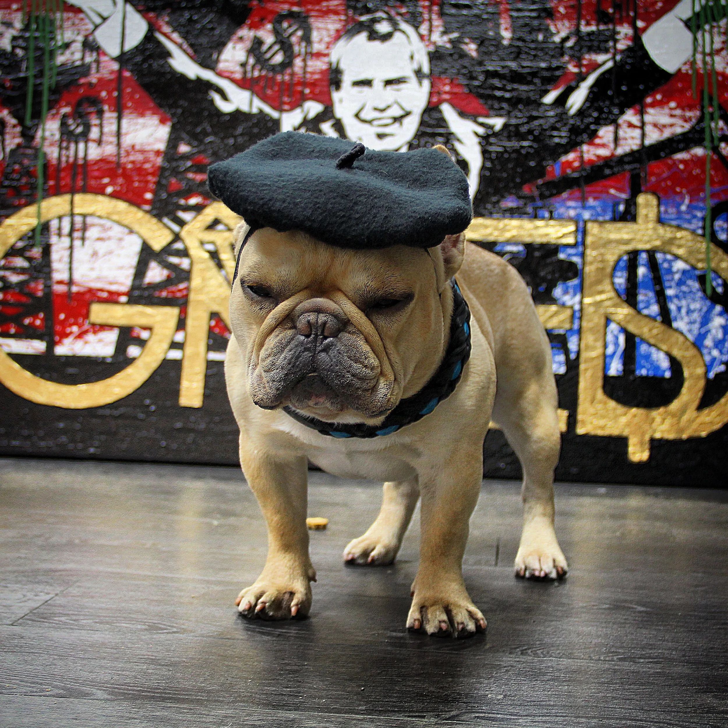  C/GREED's SIDEKICK H/GREED